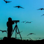 spot-more-birds-with-these-must-have-gadgets-for-bird-watchers