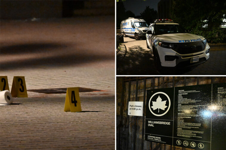 14-year-old-stabbed-to-death-in-mass-brawl-at-bronx-playground
