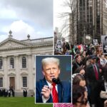 college-applications-rise-outside-us-as-trump-cracks-down-on-international-students