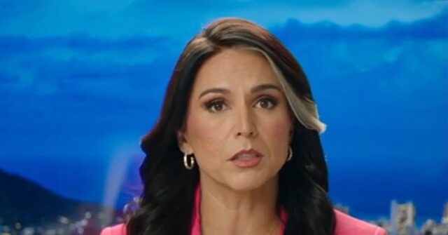 tulsi-gabbard-on-the-‘mainstream-propaganda-media’:-‘we-should-accept-nothing-they-say-at-face-value’