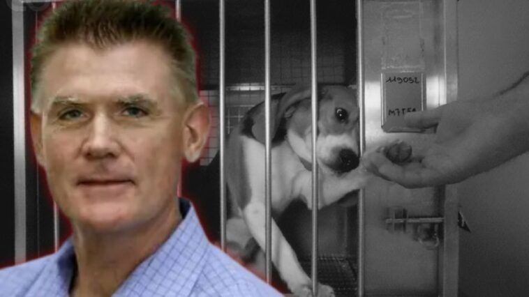 exclusive:-federal-complaint-filed-after-nih-bureaucrat-attacks-anti-animal-testing-watchdog-group-white-coat-waste,-goes-after-board-members