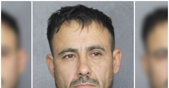 florida:-illegal-alien-accused-of-downloading-files-of-child-sexual-abuse,-bestiality
