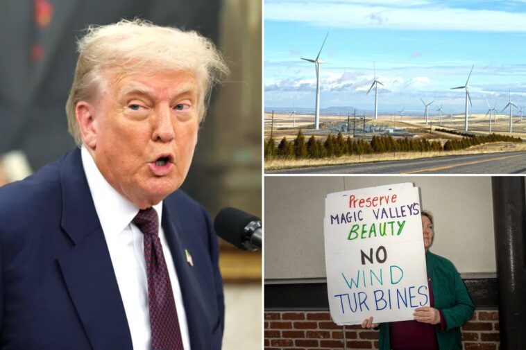 trump-admin-axes-biden-approval-of-‘irresponsible’-wind-farm-in-idaho
