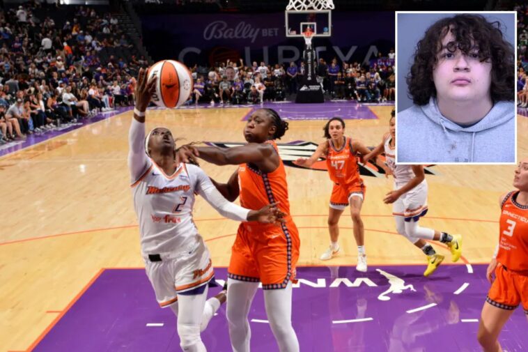 18-year-old-arrested-for-allegedly-striking-girl,-9,-and-her-uncle-with-sex-toy-at-wnba-game
