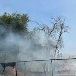 dhs:-arsonist-attacked-washington-ice-field-office