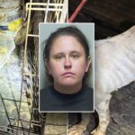 florida-woman-leaves-teen,-7-dogs-home-alone-to-go-on-vegas-vacation:-police