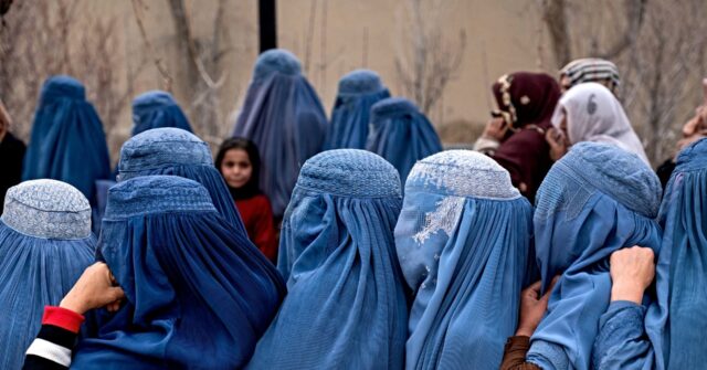un.-expert-dismayed-to-report-afghanistan’s-taliban-oppress-women