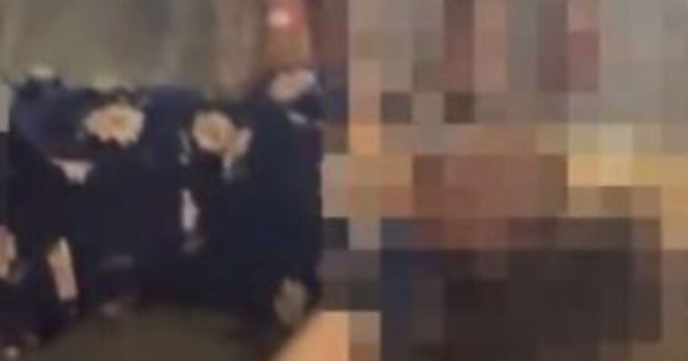 senator-introduces-‘holly’s-act’-in-honor-of-victim-of-racially-charged-cincinnati-attack