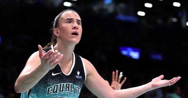 the-athletic-blasts-‘misogynistic’-wnba-dildo-throwers-for-‘denigrating-women’