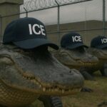 breaking:-obama-judge-stops-construction-of-florida’s-“alligator-alcatraz”