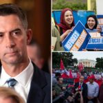 us-muslim-charity-which-takes-in-over-$26m-a-year-should-be-investigated-over-hamas-ties:-senator-tom-cotton