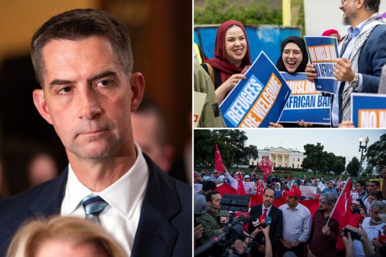 us-muslim-charity-which-takes-in-over-$26m-a-year-should-be-investigated-over-hamas-ties:-senator-tom-cotton