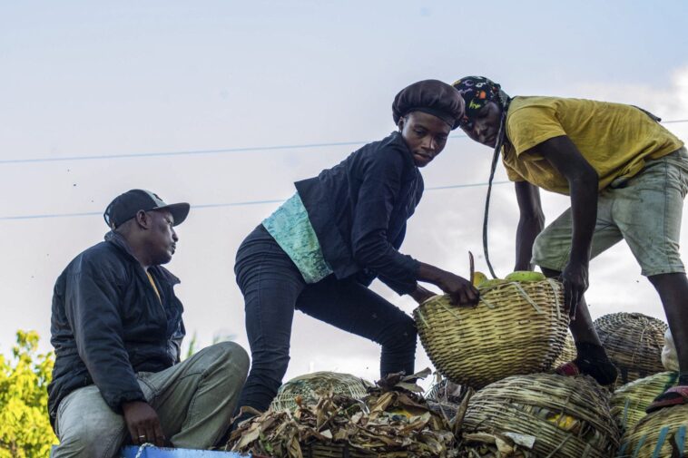 $93-million-in-aid-to-fight-malnutrition-headed-to-12-african-countries,-haiti,-state-dept-says