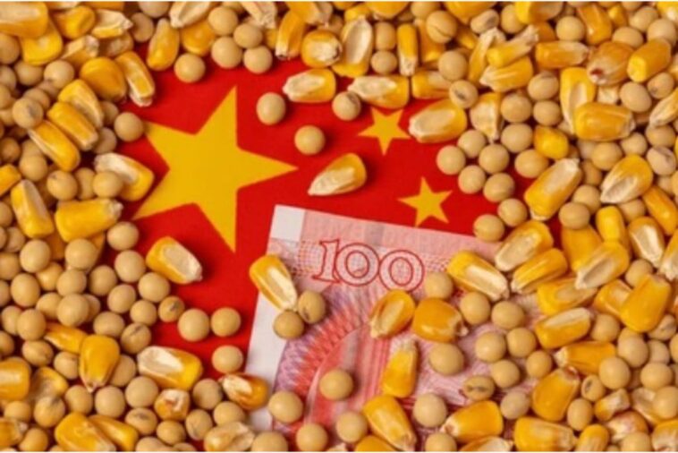 china’s-food-security-strategy-and-hispanic-american-agricultural-partnerships.