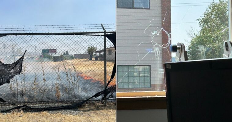 police-in-washington-are-looking-for-a-‘cowardly’-arsonist-as-assaults-on-ice-agents-skyrocket-830%