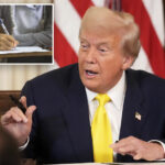 trump-orders-colleges-to-release-data-proving-they-don’t-consider-race-in-admissions