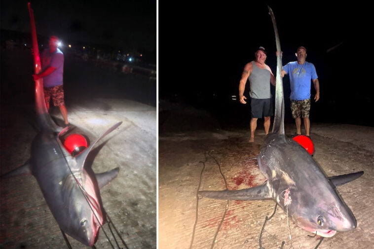 700-pound-shark-caught-off-connecticut-coast-may-break-state-record:-‘holy-mackerel’