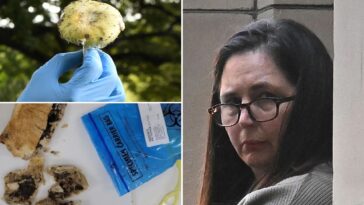 australian-mushroom-murderer-erin-patterson-allegedly-attempted-to-kill-husband-with-poisoned-pasta