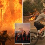 southern-california-wildfire-grows-from-50-acres-to-over-1,000-acres-in-just-hours