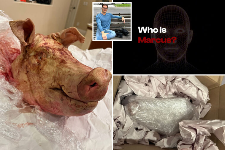 vegas-real-estate-ceo-receives-bloody-pig’s-head,-threatening-note-in-package