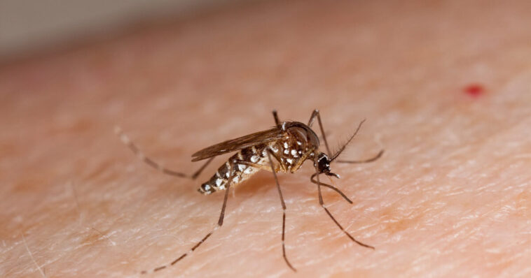cdc-issues-level-2-travel-health-notice-for-china-amid-chikungunya-outbreak-—-are-they-getting-ready-for-round-two-of-pandemic-panic?