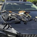 possible-mass-shooting-foiled-at-palm-beach-international-airport-—-armed-felon-with-loaded-ar-15-and-knives-arrested-in-restricted-zone-—-fbi-now-investigating