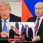 trump-confirms-‘we’re-going-to-have-a-meeting-with-russia’-in-latest-bid-to-end-ukraine-war