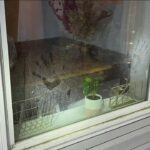 inside-the-horror:-idaho-four-crime-scene-photos-reveal-bloody-aftermath-of-attack
