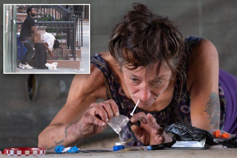 safe-injection-site-brings-daytime-public-sex-to-east-harlem:-‘getting-my-own-porno-show’
