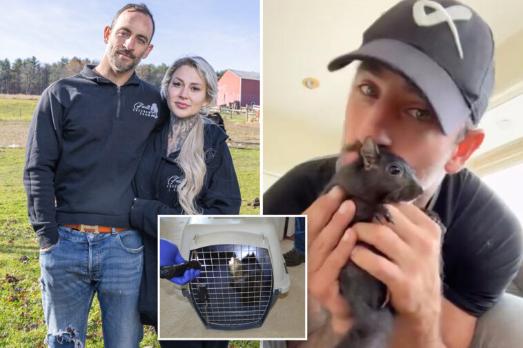 ny-could-owe-p’nut-the-squirrel’s-owners-$10m-for-execution-of-world’s-most-famous-pet