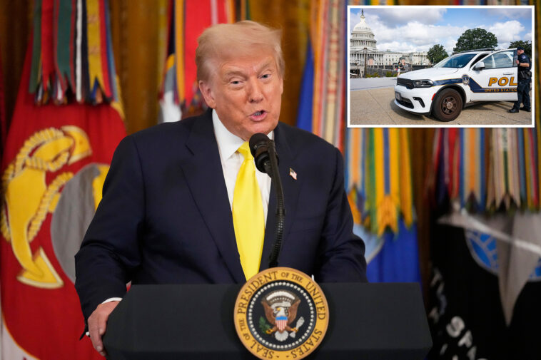 trump-to-host-news-conference-to-‘stop-violent-crime’-and-make-dc-‘one-of-the-safest’-cities-in-the-world