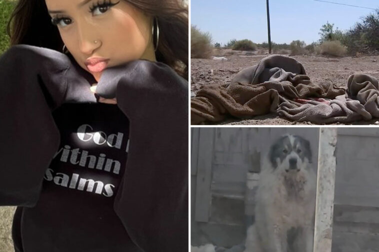 pack-of-16-dogs-attacks-teen-on-jog-in-california