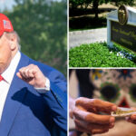 trump-eyes-reclassifying-marijuana-as-less-dangerous-drug:-report