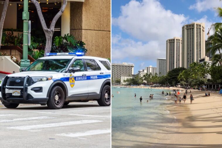 hawaii-man-severely-burned-in-heinous-acid-attack-—-raging-lunatic-who-hurled-toxic-liquid-remains-at-large