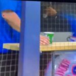 francisco-lindor-throws-dugout-tantrum-after-costly-error-in-mets’-loss