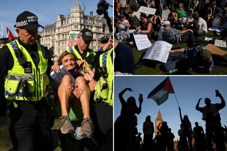 uk-police-arrest-nearly-500-at-protest-for-banned-palestine-support-group-under-new-legislation