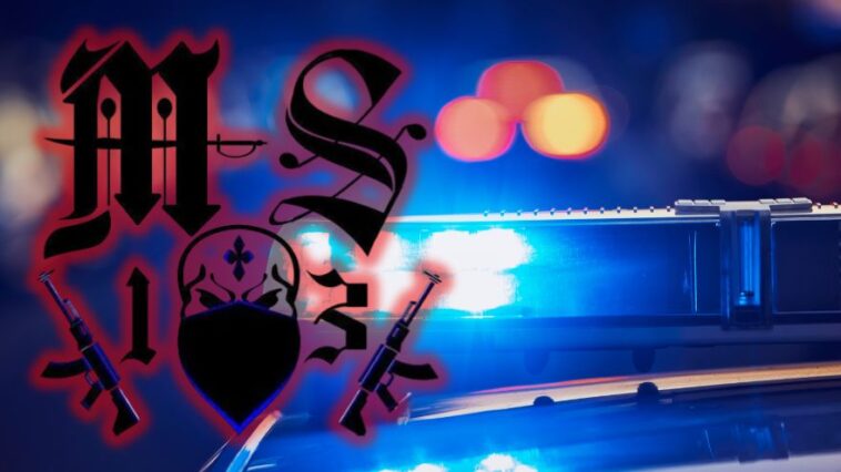us.-marshals-rescue-missing-teen-during-operation-to-nab-ms-13-gang-member-in-maryland