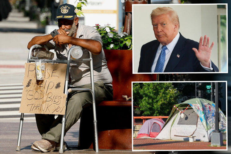 trump-vows-to-push-homeless-people-out-of-dc,-jail-criminals:-‘we-want-our-capital-back’