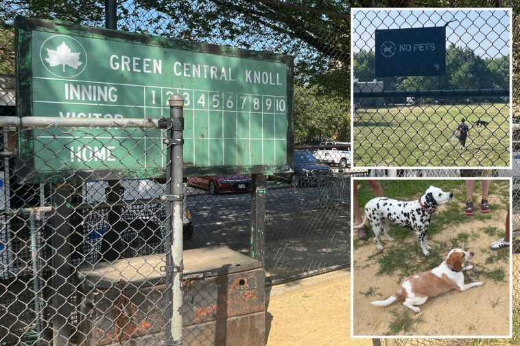 ‘entitled’-nyc-pet-owners-turn-kiddie-ballfield-into-illicit-poop-filled-dog-park