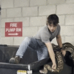 reptile-hunter-climbs-into-apartment-building-dumpster-to-remove-16-foot-python-in-los-angeles