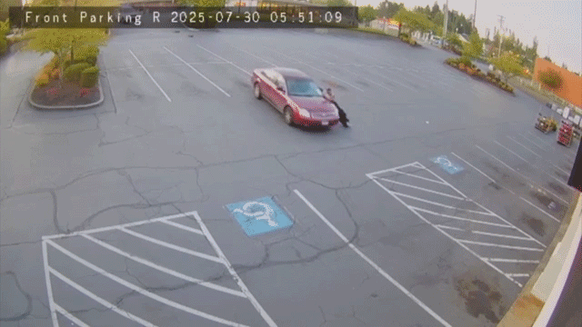 diy-tow-job-goes-horribly-wrong-as-runaway-car-hits-same-washington-restaurant-multiple-times