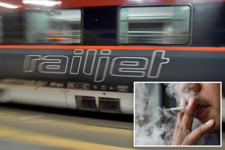 man-survives-death-defying-cling-to-130-mph-train-during-smoke-break-that-went-wrong