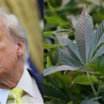 trump-sparks-debate-with-comments-on-reclassifying-weed
