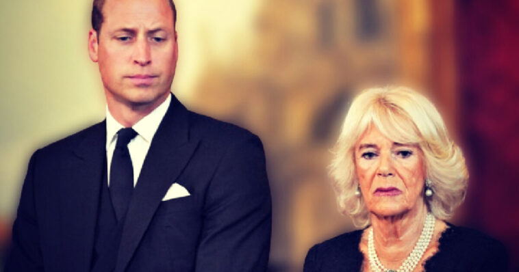 royal-feuds:-queen-camilla-angry-with-prince-william-for-encroaching-on-king-charles’-powers:-report