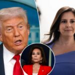 trump-vows-federal-bill-to-outlaw-states’-cash-bail-bans-—-as-stefanik-will-lead-charge-to-‘end-ny’s-failed-reform’