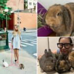rabbits-used-in-anna-delvey-photoshoot-dumped-in-prospect-park,-sparking-outrage:-‘regret-it-deeply’