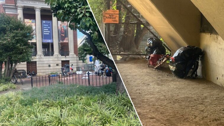 inside-the-washington,-dc-homeless-hotspots-trump-has-vowed-to-clean-up