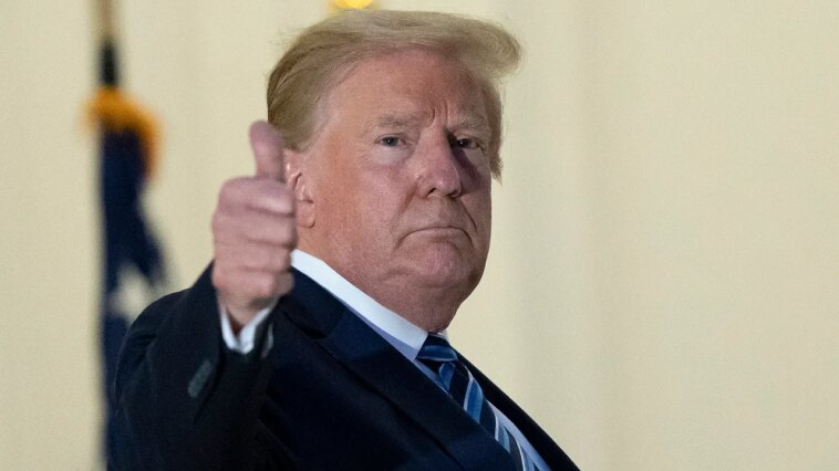 ny-times-reporter-admits-trump-is-‘way-more-effective’-in-second-term