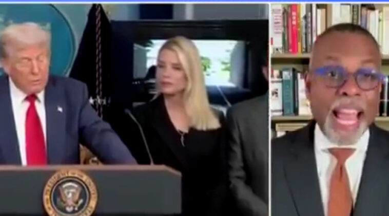 “i’m-trying-to-hold-my-temper”-–-race-baiting-msnbc-commentator-triggered-by-trump’s-crackdown-on-crime-in-dc,-blames-obsession-with-black-lives-matter-and-“racial-politics”-to-distract-from-epstein-story-(video)