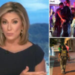 abc-news-anchor-kyra-phillips-reveals-she-was-‘jumped’-by-a-‘half-dressed’-vagrant-in-dc:-‘we’re-all-experiencing-it-firsthand’